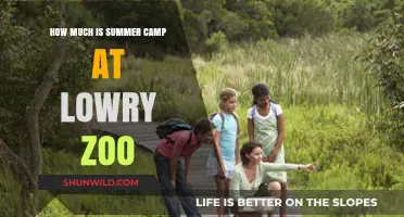 Lowry Zoo Summer Camp Costs: What Parents Need to Know