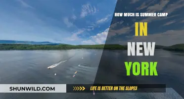 Summer Camp Costs in New York: What to Expect