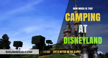 Tent Camping at Disneyland: Cost and Budget-Friendly Tips