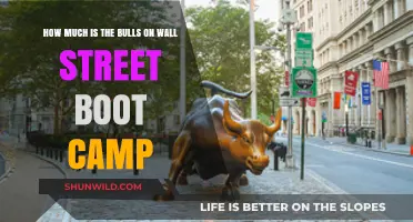 Bulls on Wall Street Boot Camp: Cost and Value Explained