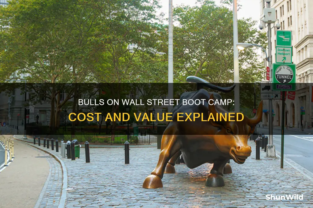 how much is the bulls on wall street boot camp