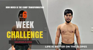 Camp Transformation 6-Week Challenge Cost: Is It Worth Your Investment?