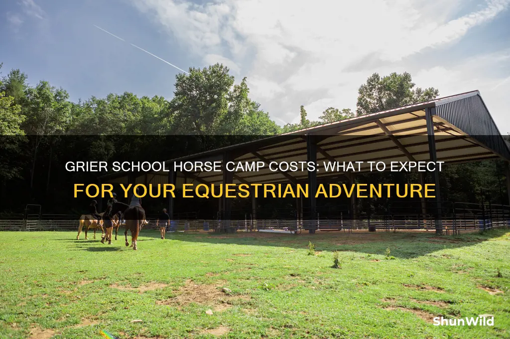 how much is the cost at grier school hourse camp