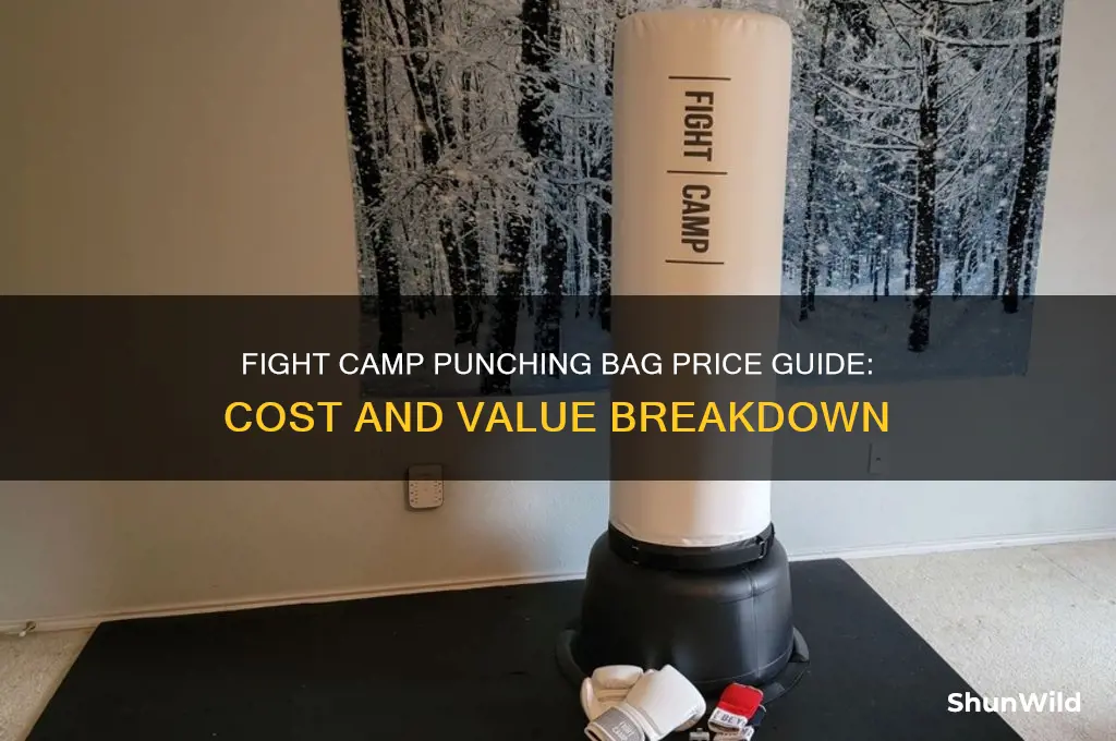 how much is the fight camp punching bag