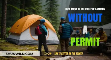 Camping Without a Permit: Understanding Fines and Legal Consequences