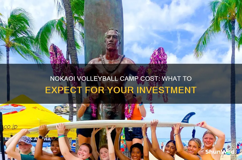 how much is the nokaoi volleyball camp