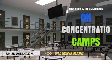 US Spending on Detention Facilities: Costs and Controversies Explained