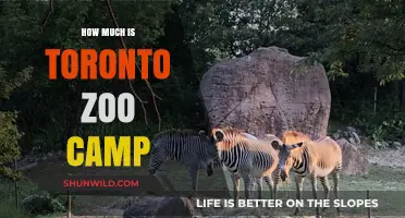 Toronto Zoo Camp Costs: Affordable Summer Fun for Kids