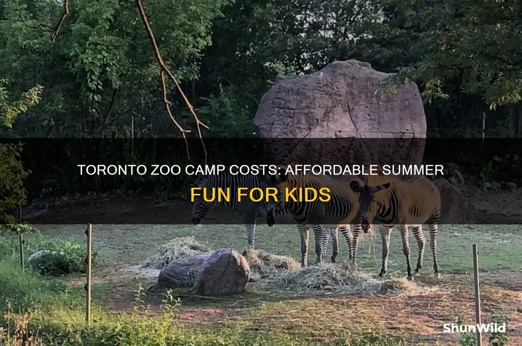 how much is toronto zoo camp