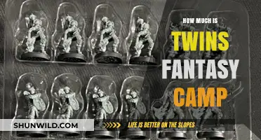 Twins Fantasy Camp Cost: What to Expect for the Ultimate Experience