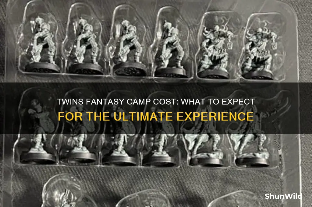 how much is twins fantasy camp