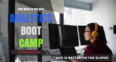 UCF Data Analytics Boot Camp Cost: Is It Worth the Investment?
