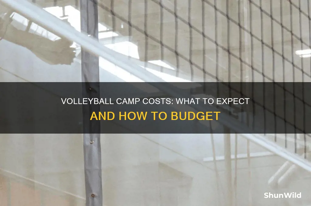 how much is volleyball camp