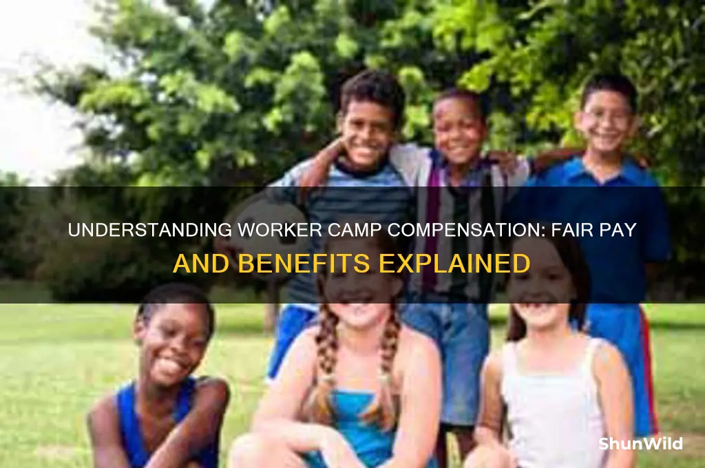 how much is worker camp compensation