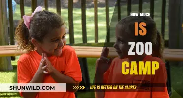 Exploring Zoo Camp Costs: What to Expect for Your Child’s Adventure