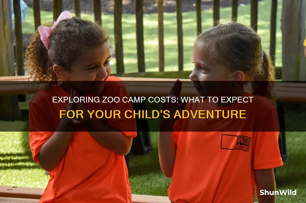 how much is zoo camp
