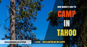 Camping in Tahoe: Budget Breakdown and Cost-Saving Tips