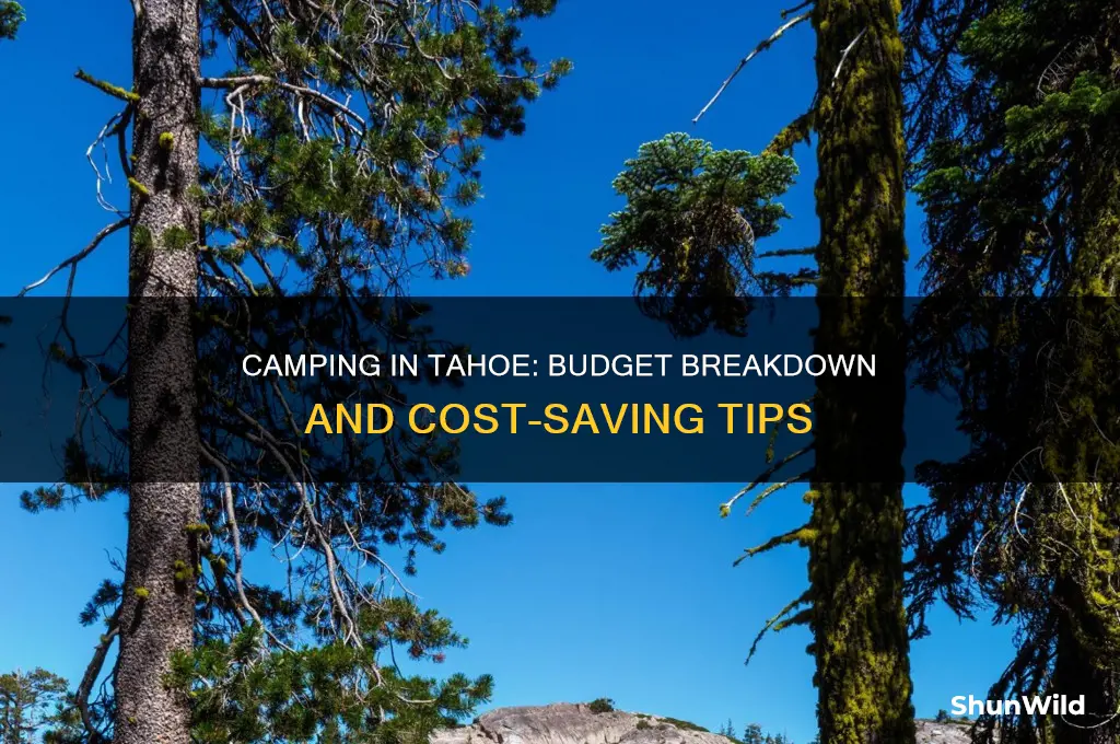 how much it cost to camp in tahoo