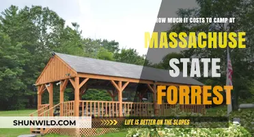 Camping Costs in Massachusetts State Forests: What to Expect