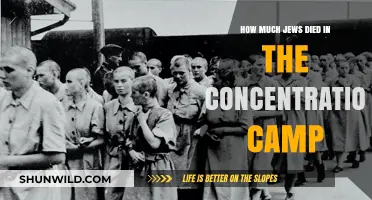 The Holocaust's Devastating Toll: Jewish Lives Lost in Concentration Camps
