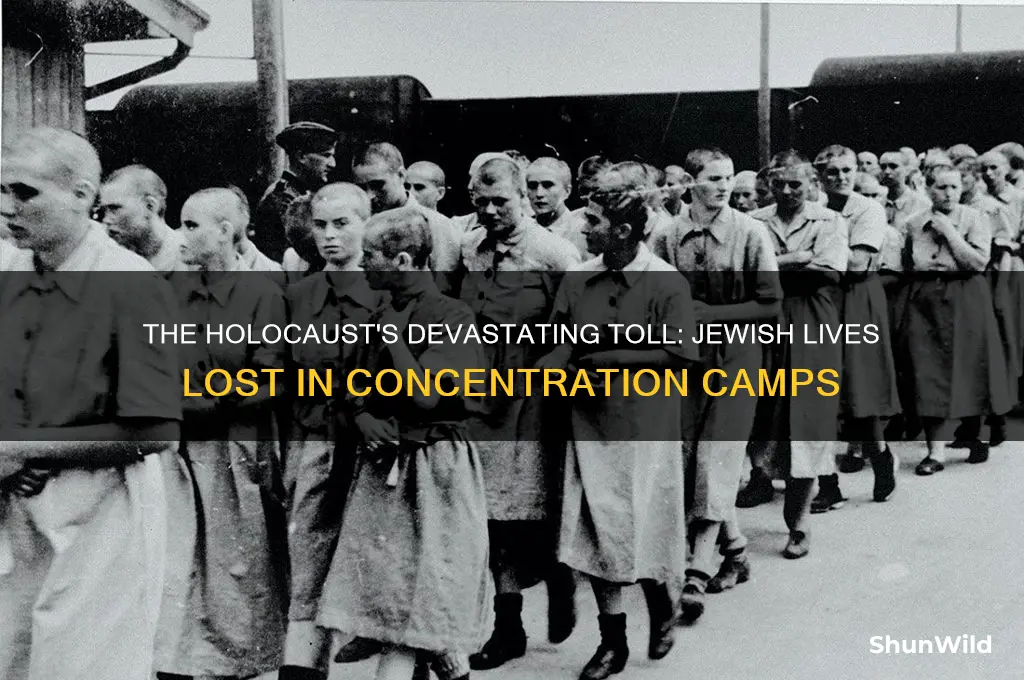 how much jews died in the concentration camp