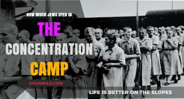 The Holocaust's Dark Toll: Jewish Lives Lost in Concentration Camps