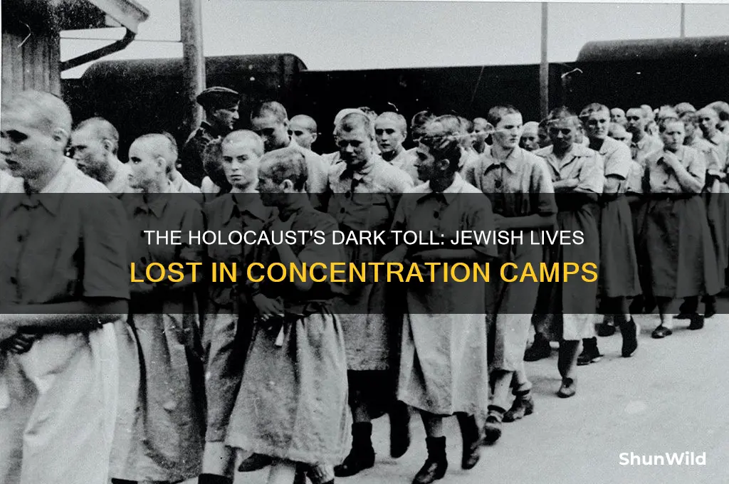 how much jews dyed in the concentration camp