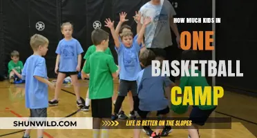 Ideal Number of Kids in a Basketball Camp for Optimal Learning