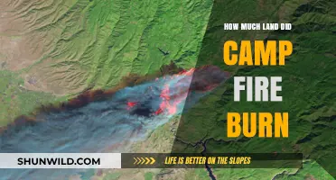 Camp Fire's Devastation: Total Land Area Consumed by the Blaze