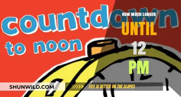 Counting Down: How Much Time Remains Until Noon?