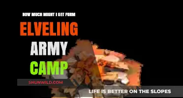 Maximize Your Rewards: Army Camp Leveling Payouts Explained