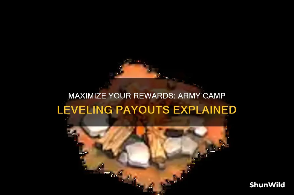 how much might i get form elveling army camp