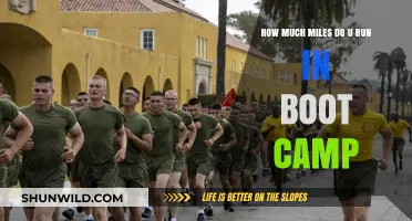 Running in Boot Camp: Unveiling the Mileage Expectations for Recruits