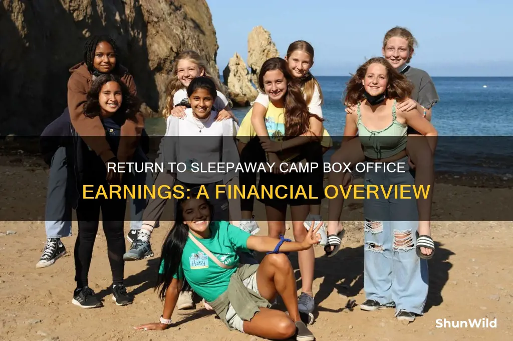 how much money did return to sleepaway camp make