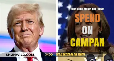 Trump's Campaign Spending: A Breakdown of His Financial Strategy