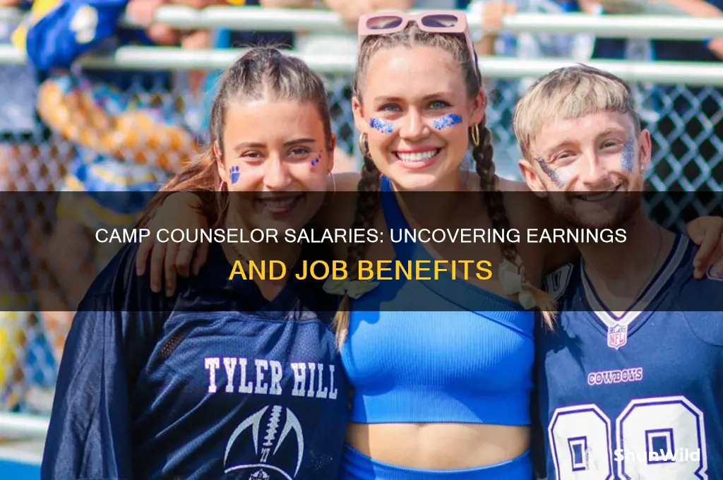 how much money do camp counselors make