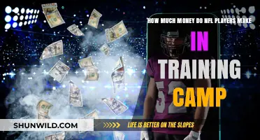NFL Training Camp Earnings: How Much Do Players Make?