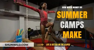 Summer Camp Profits: Uncovering the Revenue Potential of Seasonal Programs
