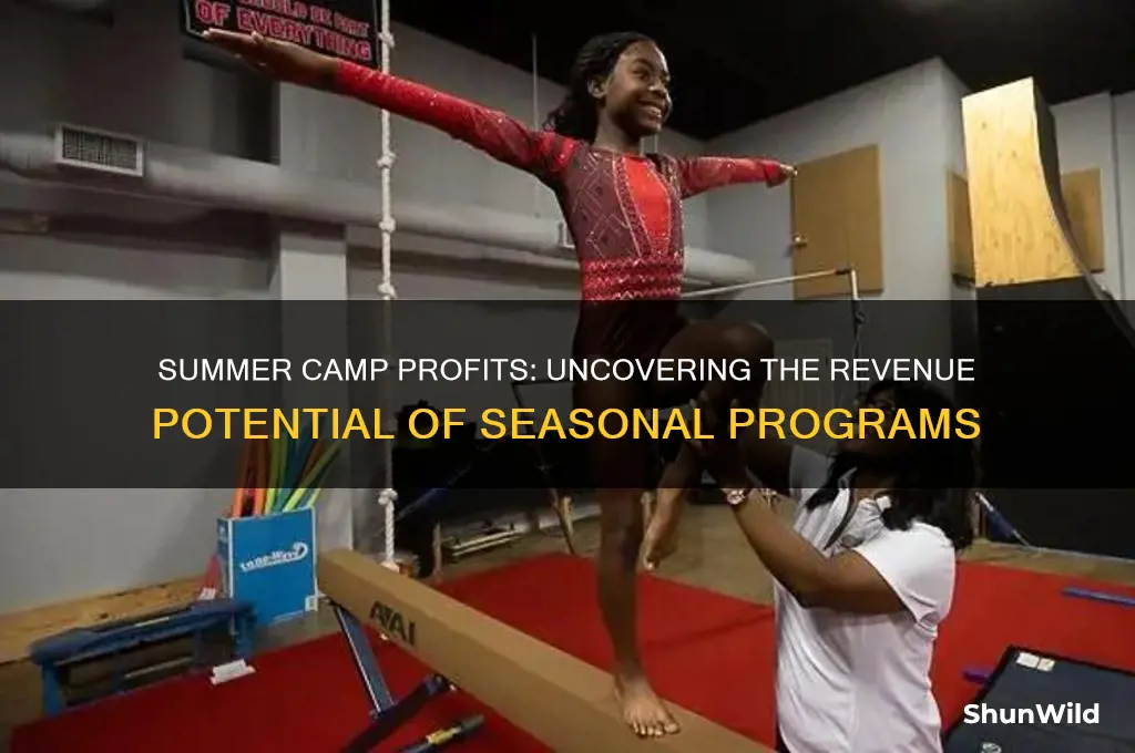 how much money do summer camps make
