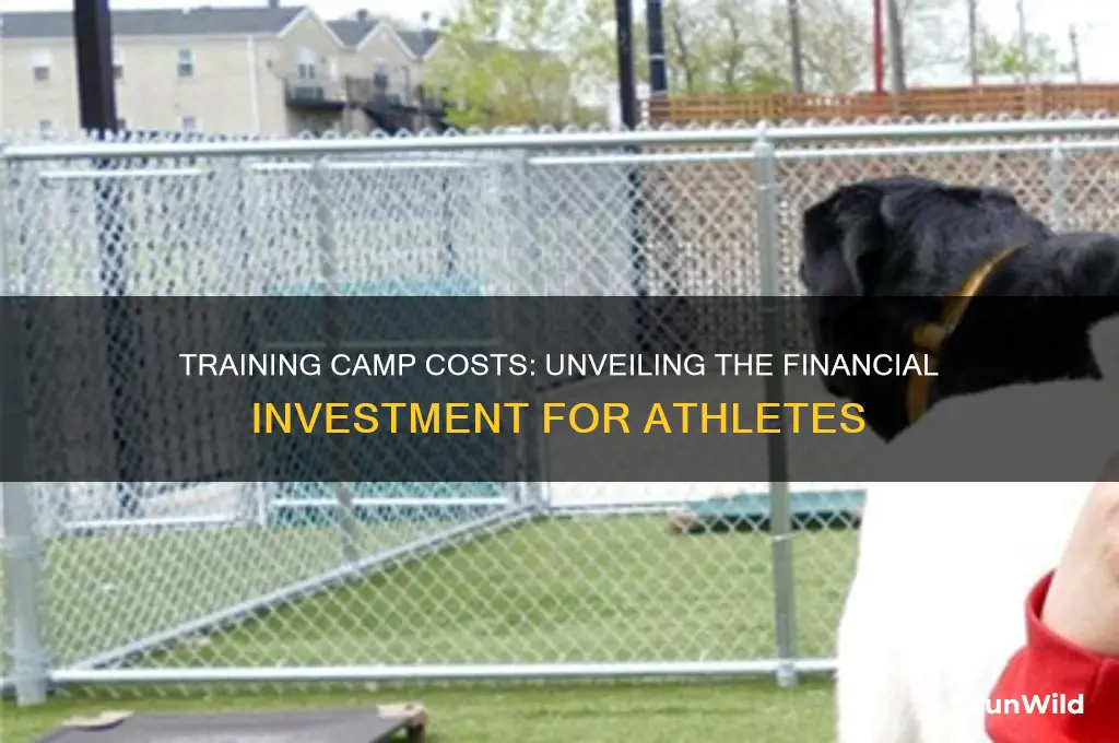 how much money do training camp