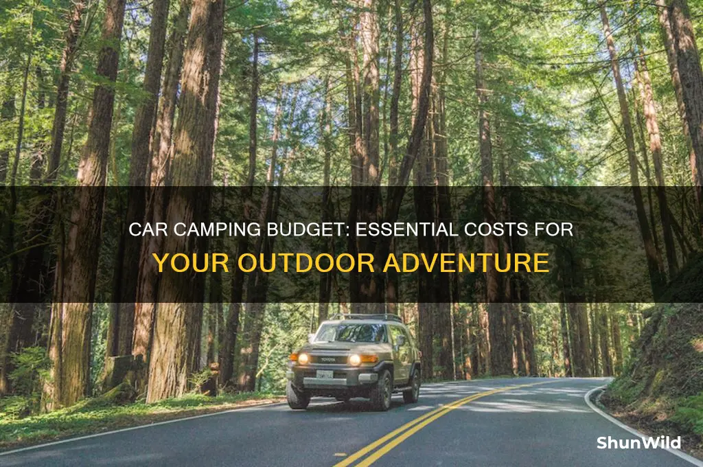 how much money do you need to car camp