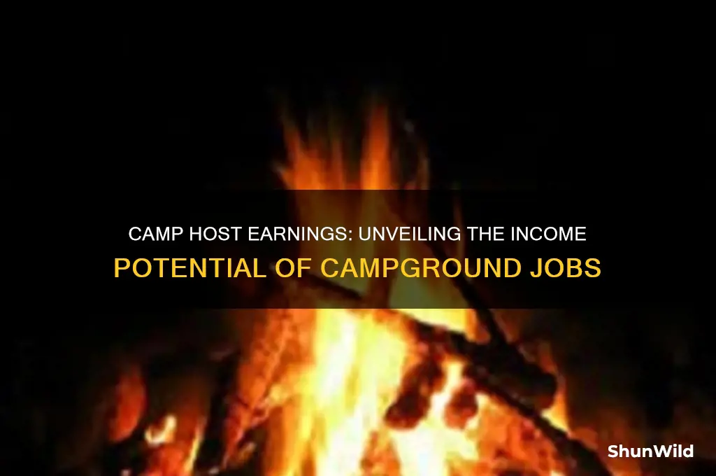 how much money does a camp host make