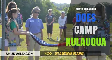 Camp Kulaqua's Financial Insights: Unveiling Annual Revenue and Expenses