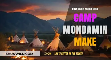 Camp Mondamin's Revenue: Uncovering the Financial Success of a Summer Camp