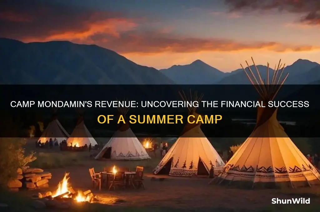 how much money does camp mondamin make