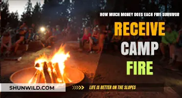 Camp Fire Survivors' Compensation: Understanding Financial Aid Distribution