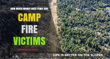 FEMA Financial Aid for Camp Fire Victims: Understanding the Assistance