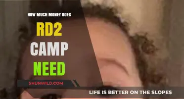 How Much Money Does Your RDR2 Camp Really Need?