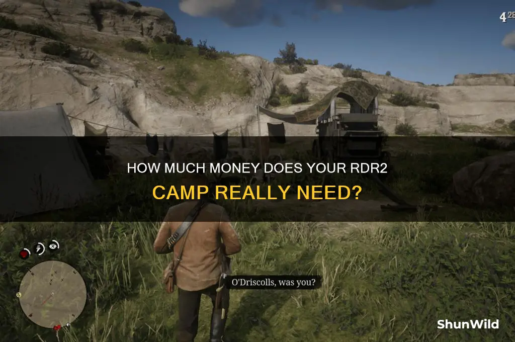 how much money does rd2 camp need