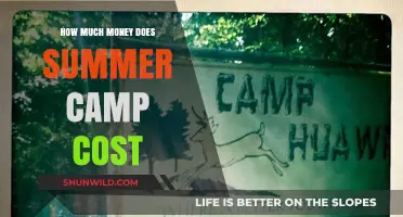 Summer Camp Costs: Budgeting for Your Child's Adventure